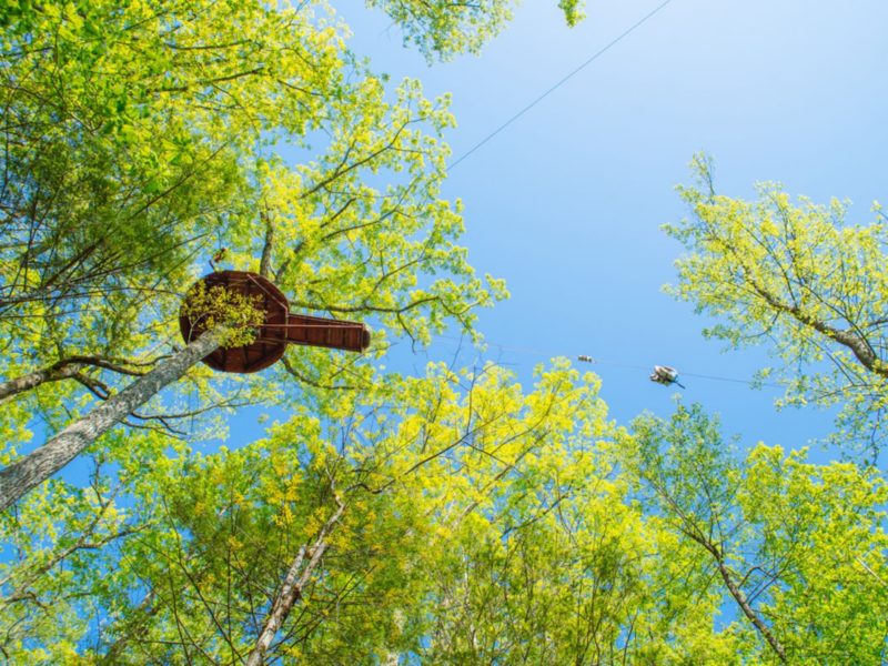 Zipline Braking System